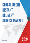 Global Drone Instant Delivery Service Market Research Report 2023