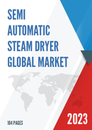 Global Semi Automatic Steam Dryer Market Insights and Forecast to 2028