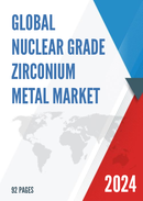 Global Nuclear Grade Zirconium Metal Industry Research Report Growth Trends and Competitive Analysis 2022 2028