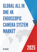 Global All in One 4K Endoscopic Camera System Market Research Report 2025