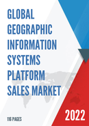Global Geographic Information Systems Platform Sales Market Report 2022