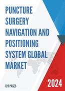 Global Puncture Surgery Navigation And Positioning System Market Research Report 2023