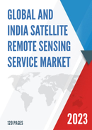 Global and India Satellite Remote Sensing Service Market Report Forecast 2023 2029
