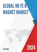 Global Nd Fe B Magnet Market Insights and Forecast to 2028