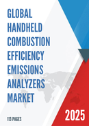 Global Handheld Combustion Efficiency Emissions Analyzers Market Research Report 2025