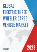 Global Electric Three Wheeler Cargo Vehicle Market Research Report 2022