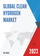 Global Clean Hydrogen Market Outlook 2022
