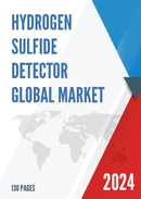 Global Hydrogen Sulfide Detector Market Research Report 2023