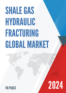 Global Shale Gas Hydraulic Fracturing Market Insights and Forecast to 2028