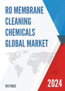 Global RO Membrane Cleaning Chemicals Market Research Report 2023