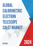 Global CALorimetric Electron Telescope CALET Market Research Report 2023