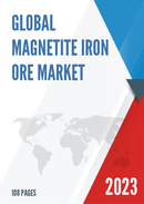 Global Magnetite Iron Ore Market Insights and Forecast to 2028