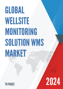 Global Wellsite Monitoring Solution WMS Market Insights and Forecast to 2028