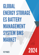 Energy Storage (ES) Battery Management System (BMS) Market, Report