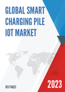 Global Smart Charging Pile IoT Market Research Report 2023