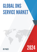Global DNS Service Market Size Status and Forecast 2022 2028