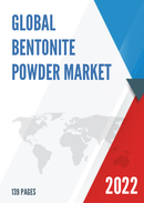 Global Bentonite Powder Market Outlook 2022