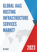 Global Iaas Hosting Infrastructure Services Market Insights and Forecast to 2028