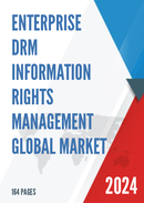 Global Enterprise DRM Information Rights Management Market Size Status and Forecast 2022