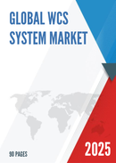 Global WCS System Market Research Report 2025