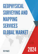 Global Geophysical Surveying and Mapping Services Market Research Report 2023