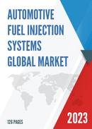 Global Automotive Fuel Injection Systems Market Insights and Forecast to 2028