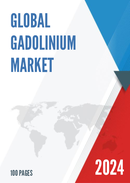 Global Gadolinium Market Insights and Forecast to 2028