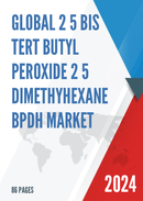 Global 2 5 Bis tert butyl Peroxide 2 5 dimethyhexane BPDH Market Insights Forecast to 2029