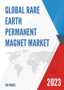 Global Rare Earth Permanent Magnet Market Outlook 2022