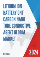 Global Lithium Ion Battery CNT Carbon Nano Tube Conductive Agent Market Research Report 2022