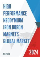 Global High Performance Neodymium Iron Boron Magnets Market Outlook 2022