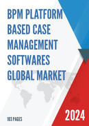 Global BPM Platform Based Case Management Softwares Market Size Status and Forecast 2022