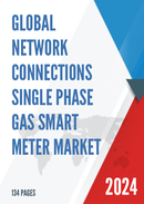 China Network Connections Single Phase Gas Smart Meter Market Report Forecast 2021 2027
