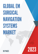 Global and Japan EM Surgical Navigation Systems Market Insights Forecast to 2027