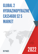 Global 2 Hydrazinopyrazine CAS54608 52 5 Market Insights Forecast to 2028