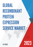 Global Recombinant Protein Expression Service Market Research Report 2023