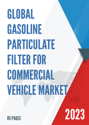 Global and China Gasoline Particulate Filter for Commercial Vehicle Market Insights Forecast to 2027