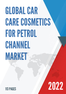 Global Car Care Cosmetics for Petrol Channel Market Insights and Forecast to 2028