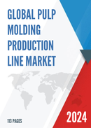 Global Pulp Molding Production Line Market Research Report 2024