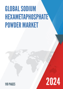 Global Sodium Hexametaphosphate Powder Market Research Report 2023