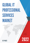 Global IT Professional Services Market Insights and Forecast to 2028