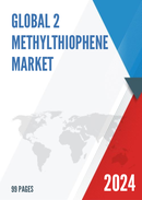 Global 2 Methylthiophene Market Insights Forecast to 2028