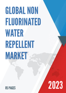 Global Non fluorinated Water Repellent Market Research Report 2022