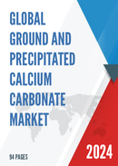 Global Ground and Precipitated Calcium Carbonate Market Insights and Forecast to 2028