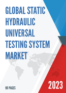 Global Static Hydraulic Universal Testing System Market Research Report 2023