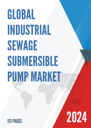 Global Industrial Sewage Submersible Pump Market Research Report 2024