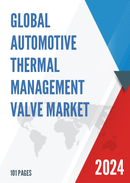 Global Automotive Thermal Management Valve Market Research Report 2023