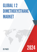 Global 1 2 Dimethoxyethane Market Insights and Forecast to 2028