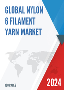 Global Nylon 6 Filament Yarn Market Insights and Forecast to 2028