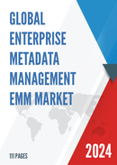 Global Enterprise Metadata Management EMM Market Size Status and Forecast 2022